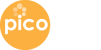 Pico Logic